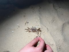 -海南清水湾莱佛士酒店