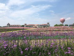 -歌斐颂巧克力小镇