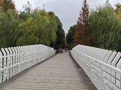 -南翔镇银翔湖公园