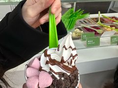 -Salud撒露欧洲冻酸奶(蓝色港湾店)