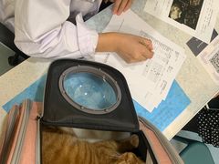 -萌兽医馆·犬猫专科·眼科中心·宠物医院(朝阳门分院)