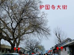 -内蒙联营烧麦 草原石榴红(护国寺店)