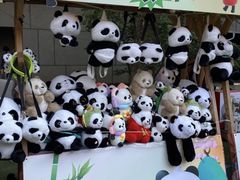 -西安电影制片厂