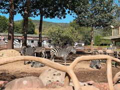 -大连森林动物园