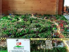 -樱桃沟景区