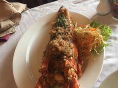 -Red Lobster