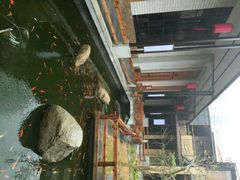 -阳春市花园酒店