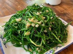 -沙洲胡杨焖饼