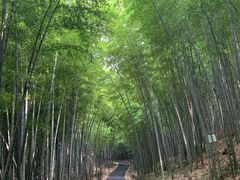 -苏州环秀晓筑养生度假村