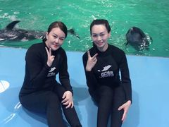 -秦皇岛乐岛海洋王国