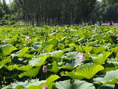 -渔岛海洋度假区