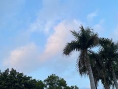 -厦门帝元维多利亚大酒店(环岛路黄厝海滩店)