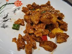 -众善素食(佛平五路店)