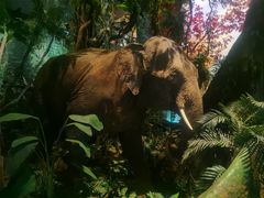 -看见远方·莫干遥远的山民宿