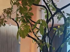 -北平食府·北京烤鸭(北京西站六里桥店)