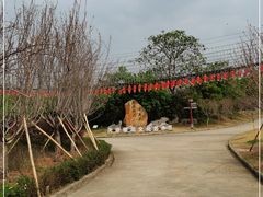 -天适樱花悠乐园