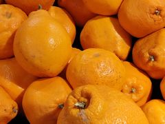 -港华水果街(港华广场店)