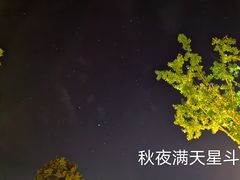 -宜城私房菜.臭鳜鱼(九华新街店)