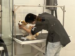 -comecome来吧宠物(奥克斯中心店)