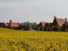 -西海岸生态观光园
