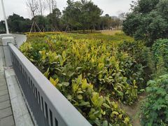 -府河摄影公园