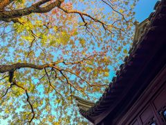 -八大山人梅湖景区