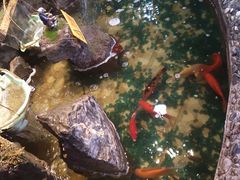 -合家院饭庄(榆关道店)