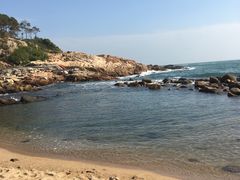 -广东惠东海龟国家级自然保护区