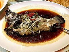 清蒸青斑-半岛太子酒家(海港城店)