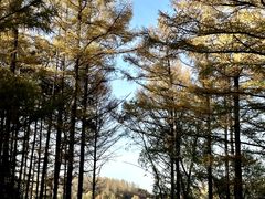 -长春净月潭风景名胜区