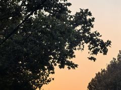 -三百碗宝应长鱼面(板仓街店)