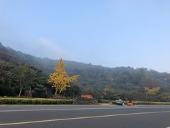 -梨云山居农家乐