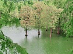 -广州市白云山风景名胜区