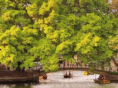 -荔湾湖公园