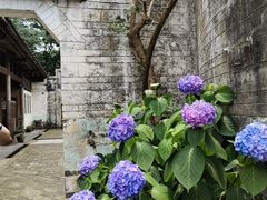 -金谷域澳洲庄园