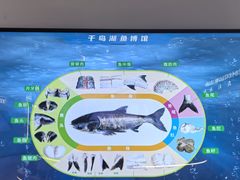 -千岛湖鱼味馆(十字街总店)