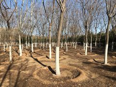 -永定河休闲森林公园