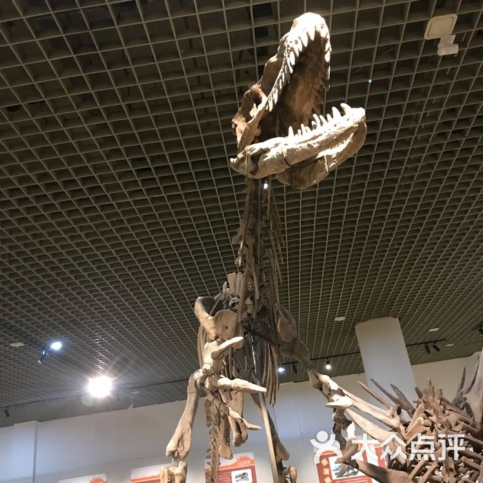 大连自然博物馆