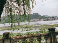 -鸣鹤古镇