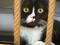 -么么咖啡(燕郊店)