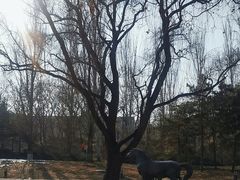 -元大都城垣遗址公园