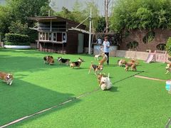 -汪说喵讲宠物乐园宠物酒店(红星美凯龙店)