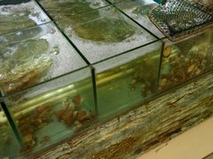 -豆花酒楼·三十八年匠心(秦皇东大街店)