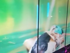 -温莎KTV(国贸店)