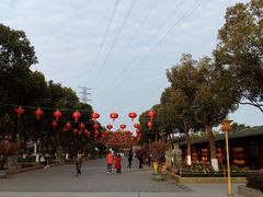 -仙岳公园