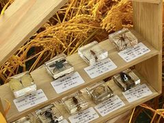 -义乌之心城市生活广场