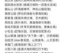 -威海大水泊国际机场