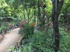 -北京呀路古热带植物园