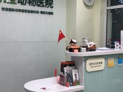 -悦宠凯宝动物医院·牙科·皮肤科(朝阳北路店)