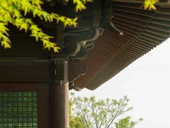 -杭州半山国家森林公园